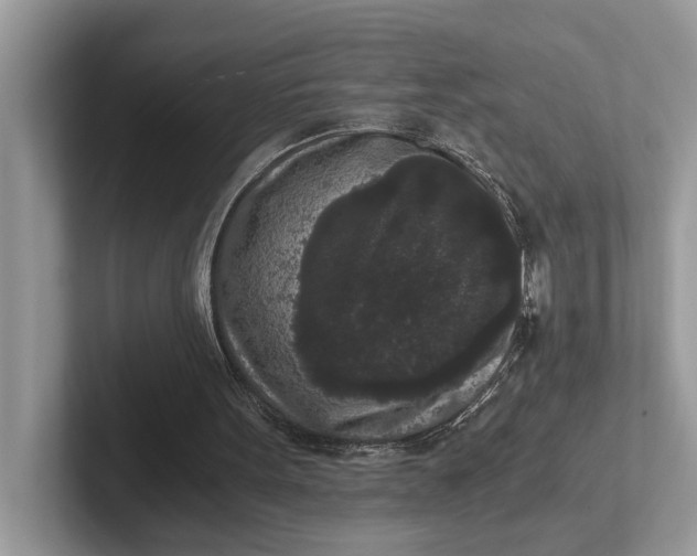 X0000101430099200807211159