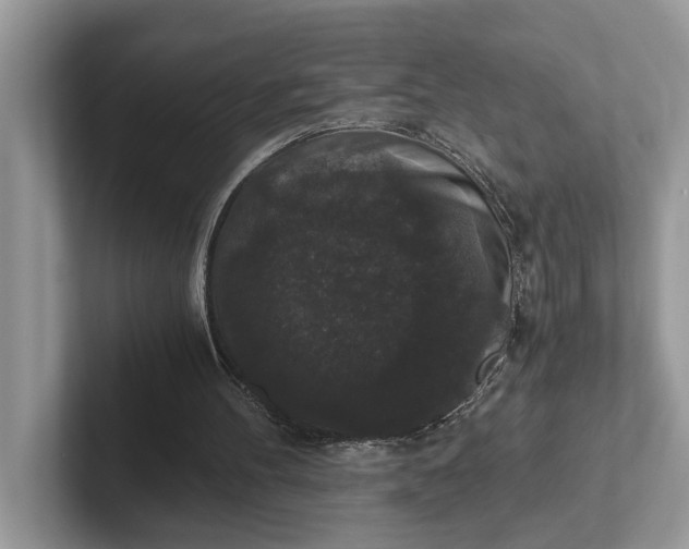 X0000101430100200807211159