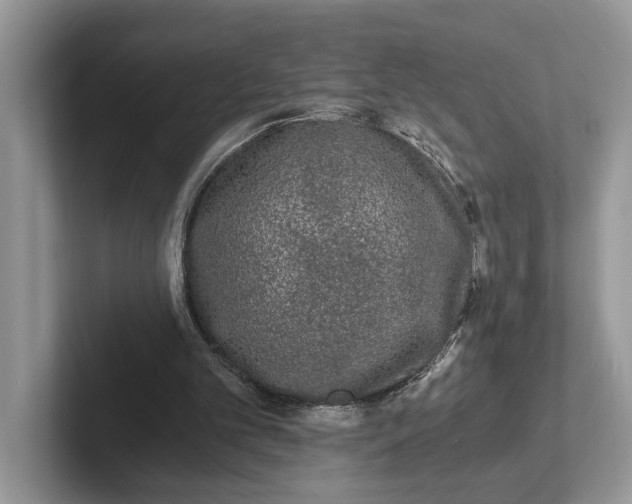 X0000101430101200807211159