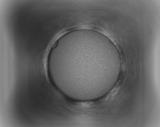 X0000101430103200807211158