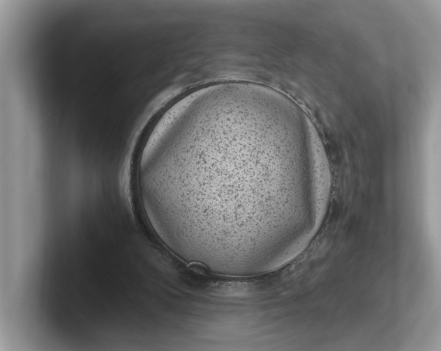 X0000101430104200807211158