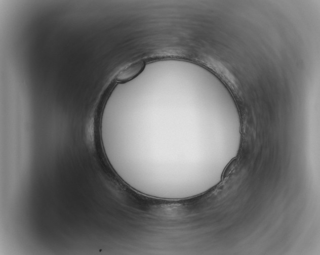 X0000101430108200807211158