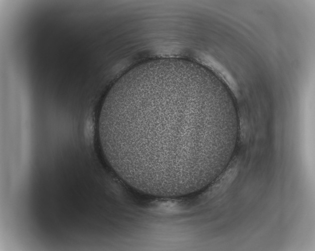 X0000101430113200807211158