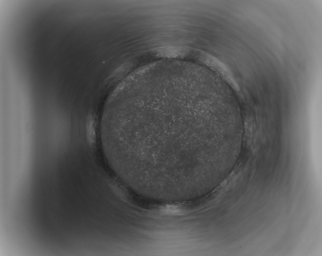 X0000101430114200807211158