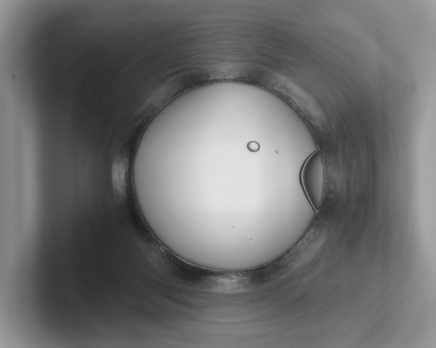 X0000101430118200807211158