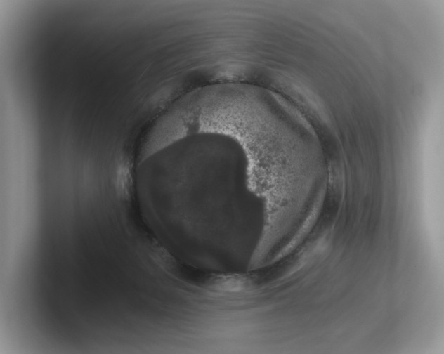 X0000101430127200807211158