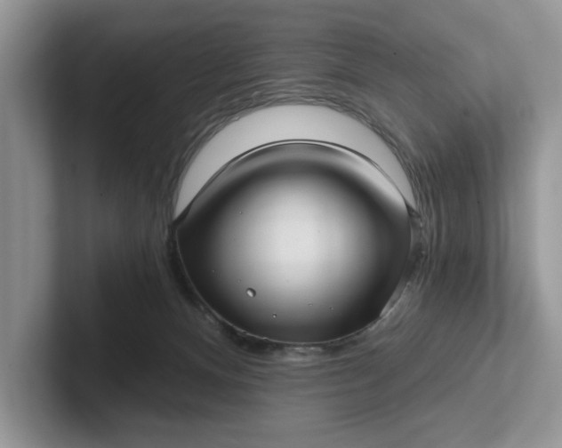 X0000101430128200807211158