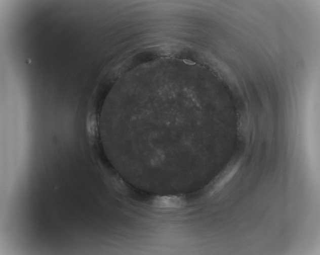 X0000101430137200807211158