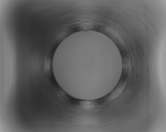 X0000101430139200807211158