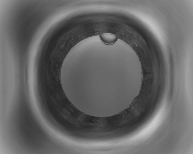 X0000101430143200807211158