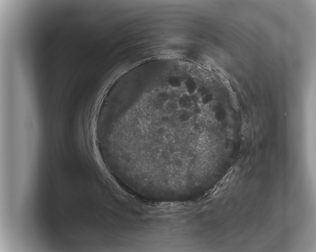 X0000101430145200807211157