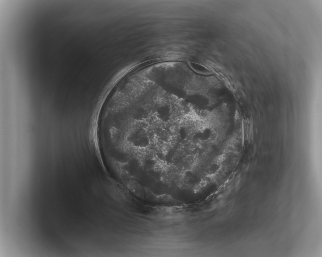 X0000101430147200807211157