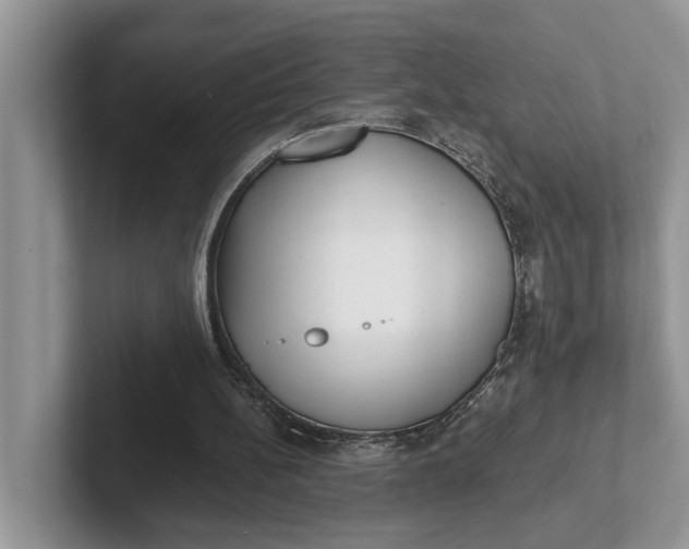 X0000101430148200807211157