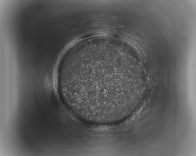 X0000101430149200807211157