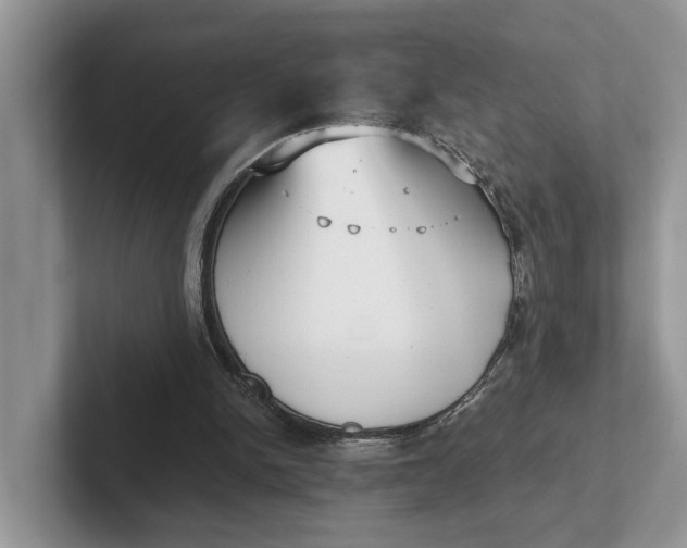 X0000101430150200807211157