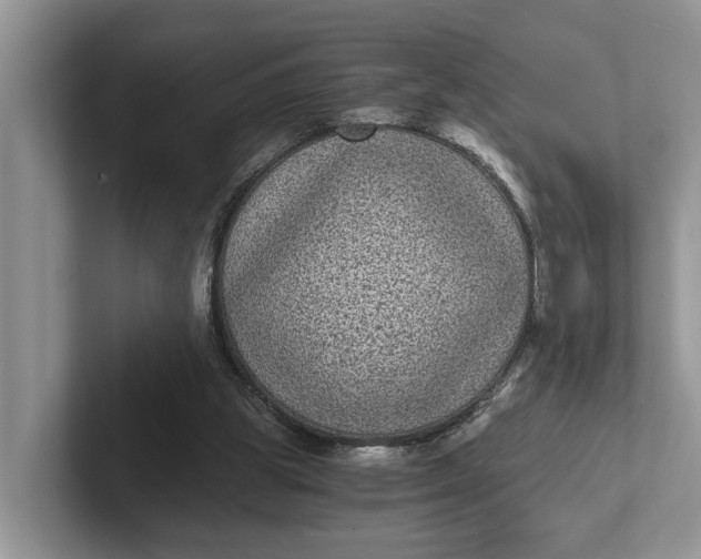 X0000101430153200807211157