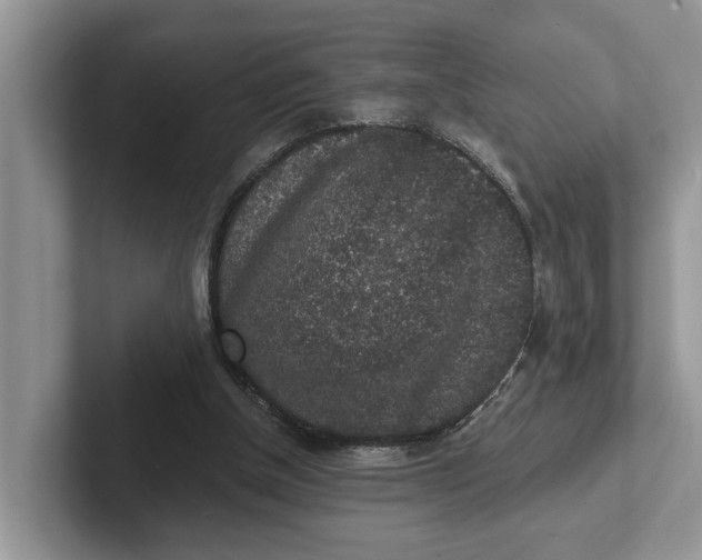 X0000101430154200807211157