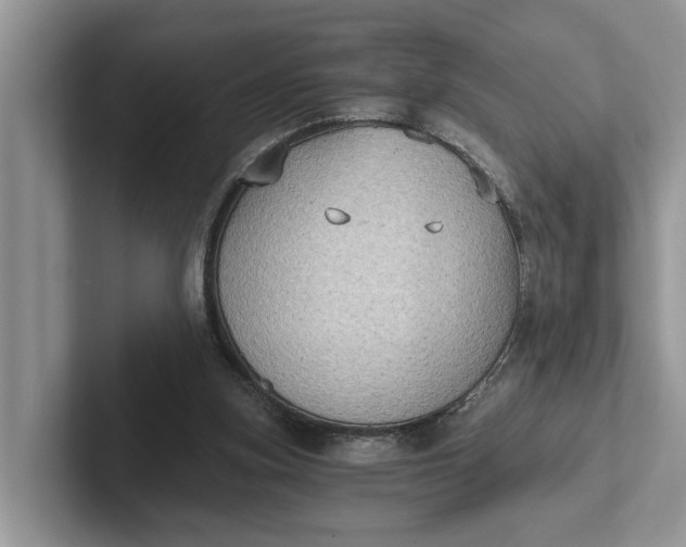 X0000101430155200807211157