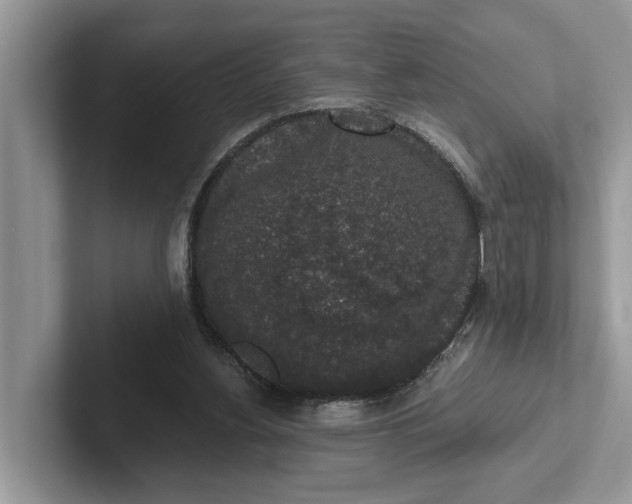 X0000101430156200807211157