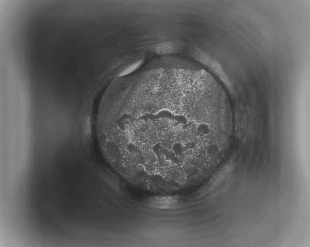 X0000101430161200807211157