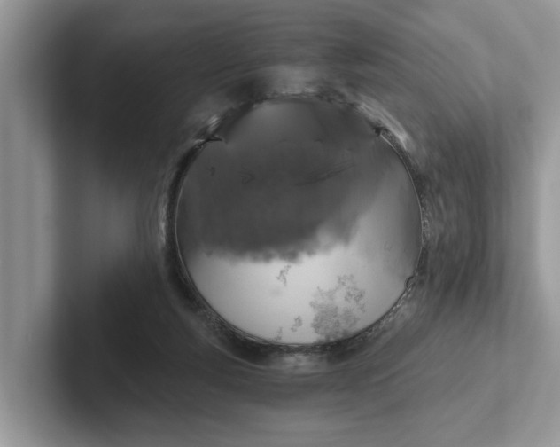 X0000101430163200807211157