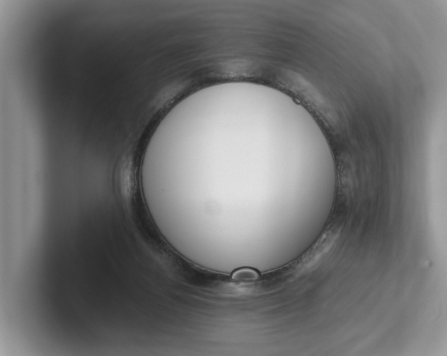 X0000101430164200807211157