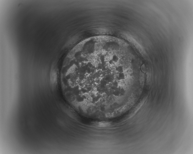 X0000101430165200807211158