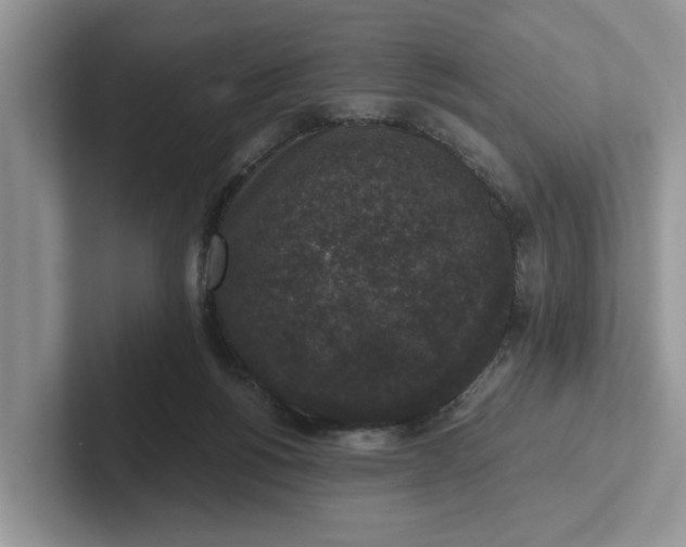 X0000101430168200807211158