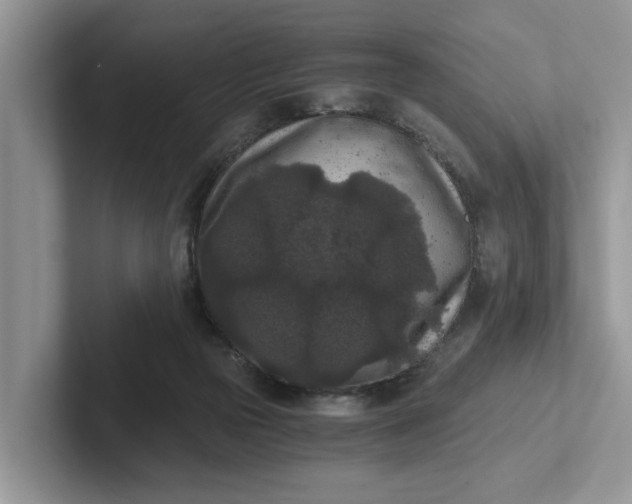 X0000101430169200807211158