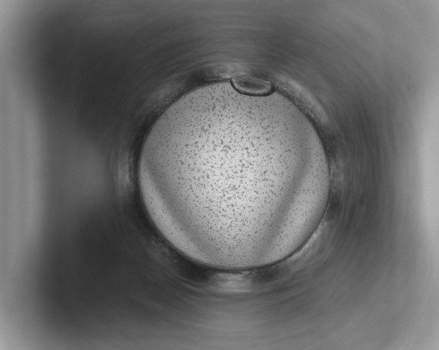 X0000101430170200807211158