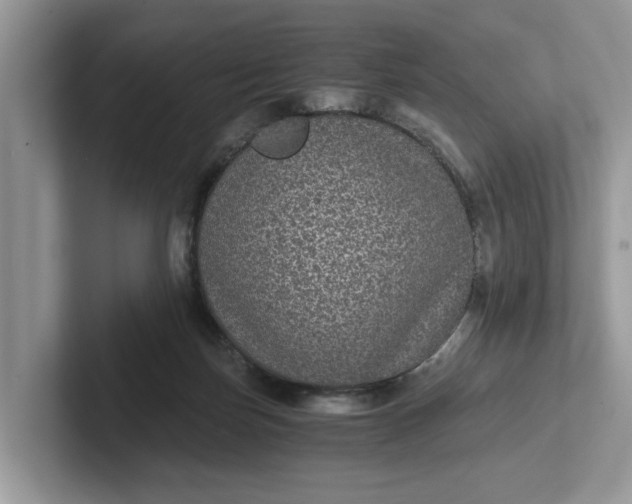 X0000101430171200807211158