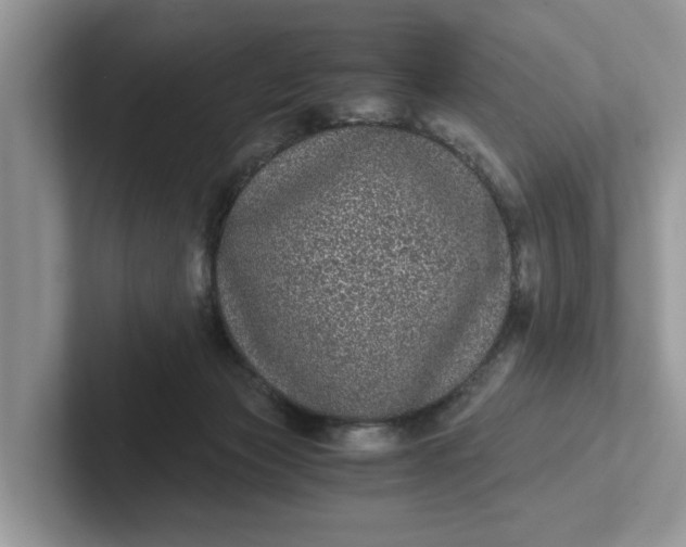 X0000101430173200807211158