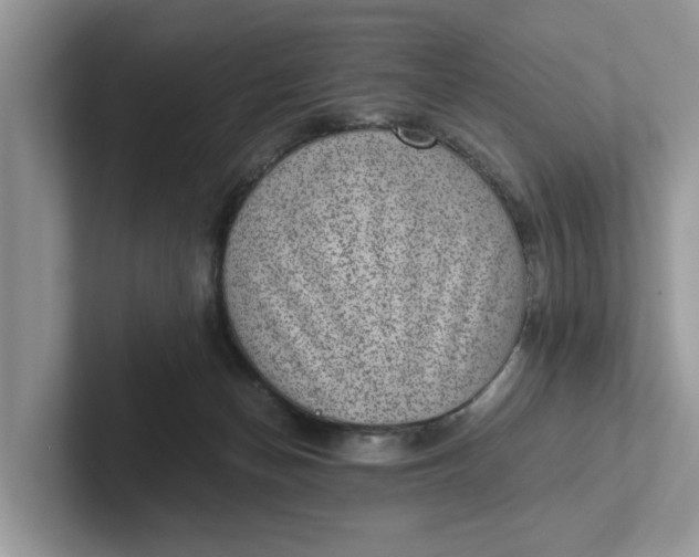 X0000101430174200807211158