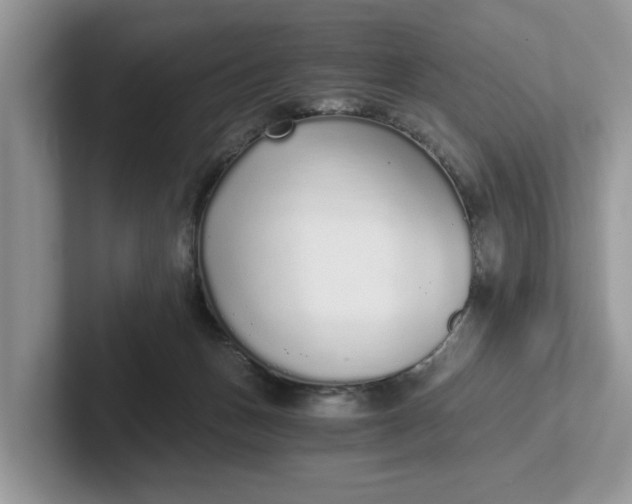 X0000101430175200807211158