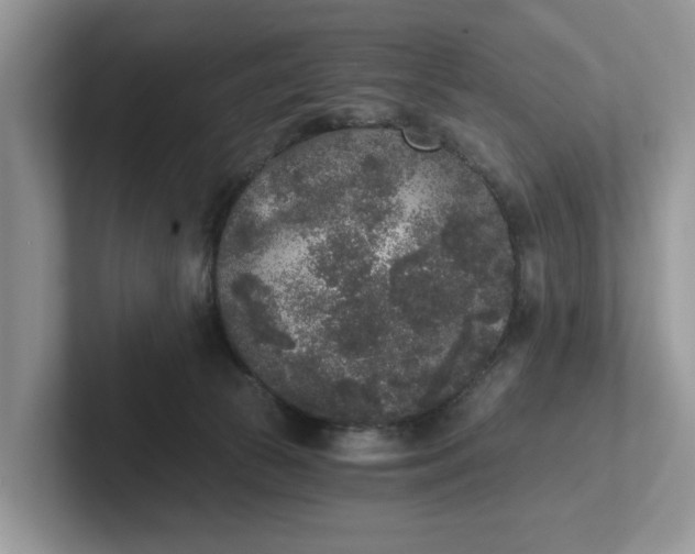 X0000101430177200807211158