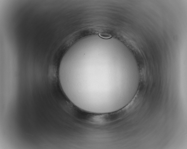 X0000101430178200807211158