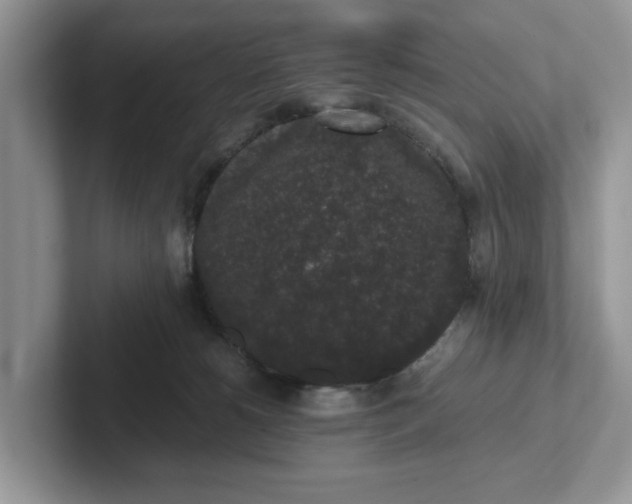 X0000101430180200807211158