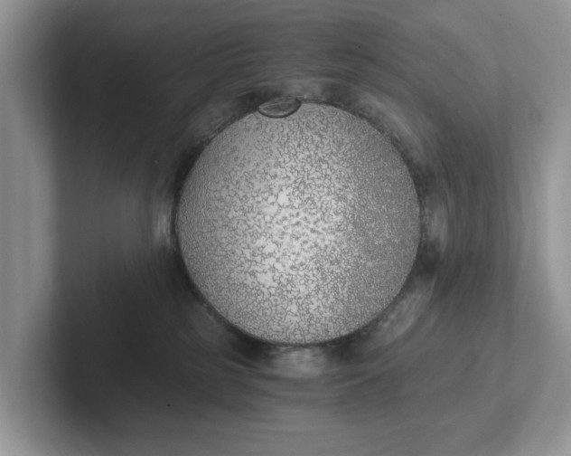 X0000101430185200807211158