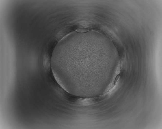 X0000101430186200807211158