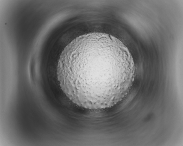 X0000101430189200807211158