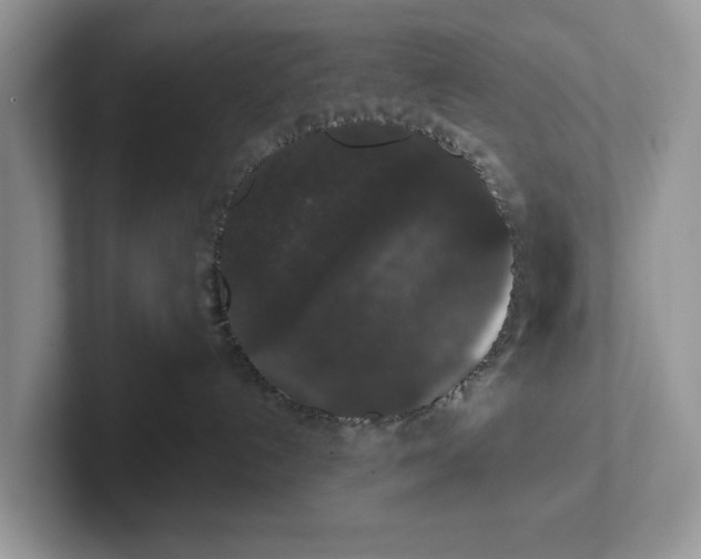 X0000101430192200807211158