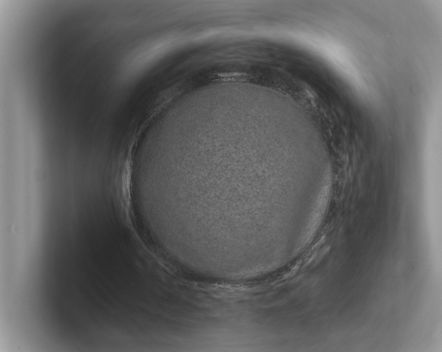 X0000101430194200807211157