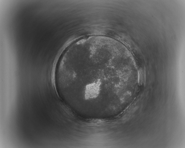 X0000101430195200807211157