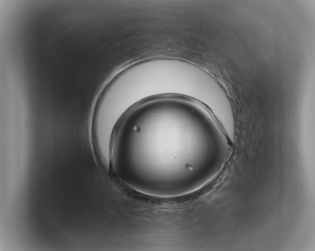 X0000101430196200807211157