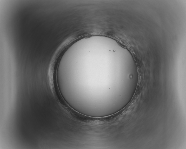 X0000101430197200807211157