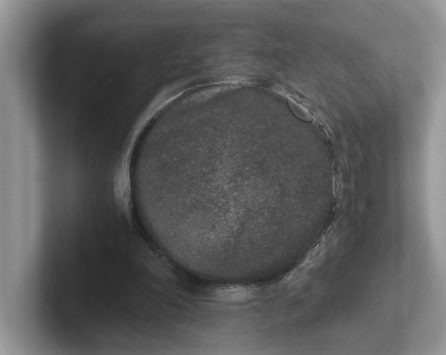 X0000101430198200807211157