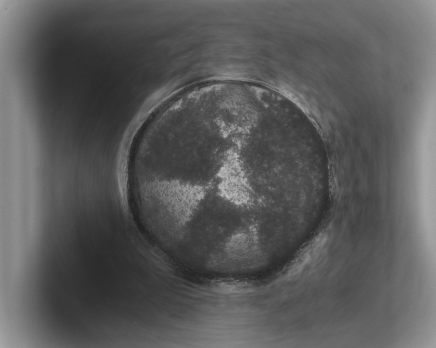 X0000101430199200807211157