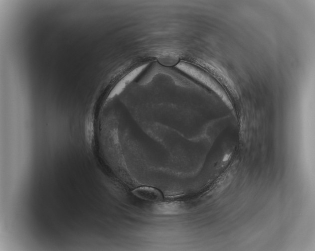 X0000101430202200807211157