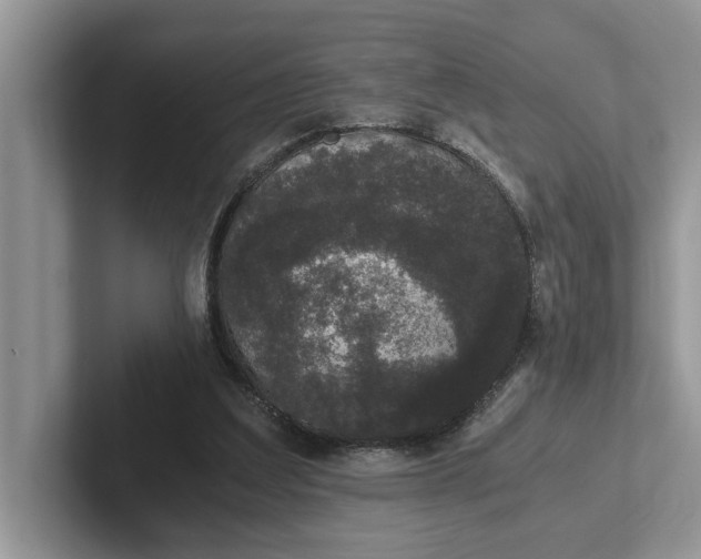 X0000101430203200807211157