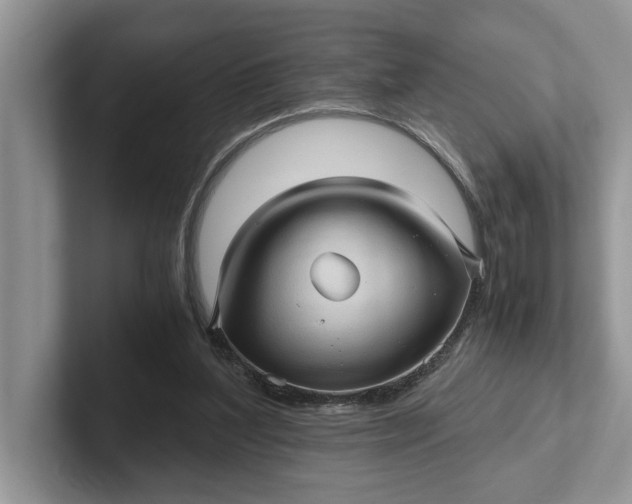 X0000101430204200807211157